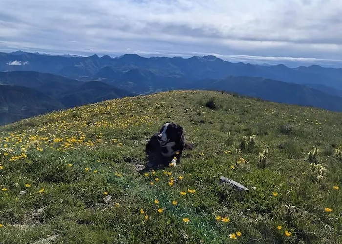 De Ferme Equestre Dom wakacyjny *