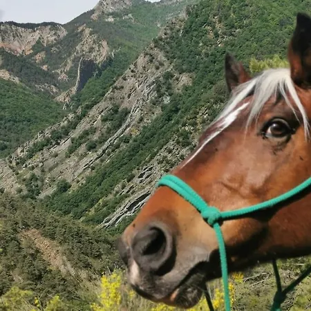 De Ferme Equestre Tatil Evi Auzet